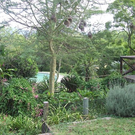 ברברטון Old Coach Road Guest House מראה חיצוני תמונה